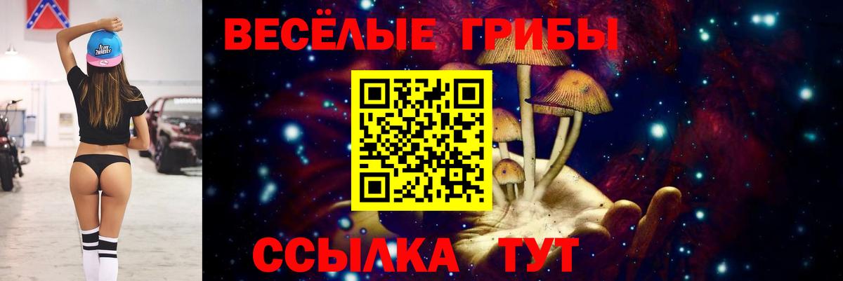 Верхний Уфалей  хочу   Вход с VPN  Галлюциногенные грибы Psilocybe 